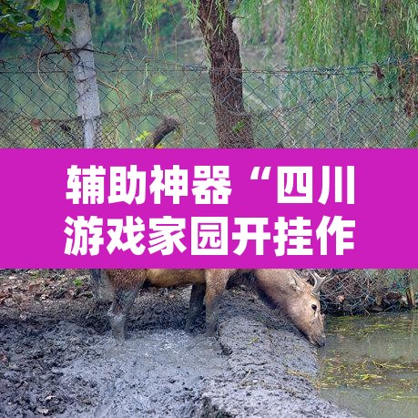 辅助神器“四川游戏家园开挂作弊”(透视挂)辅助透视教程
