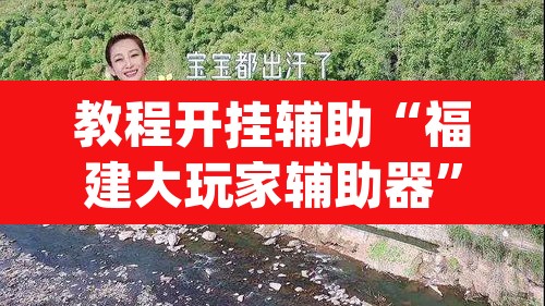 教程开挂辅助“福建大玩家辅助器	”(透视挂)辅助透视教程