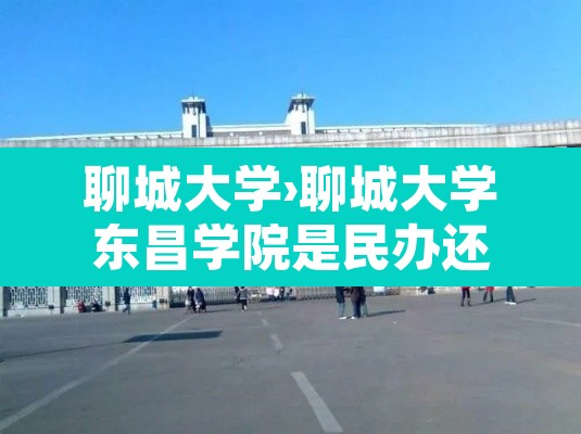 聊城大学›聊城大学东昌学院是民办还是公办 聊城大学›聊城大学东昌学院是民办还是公办
