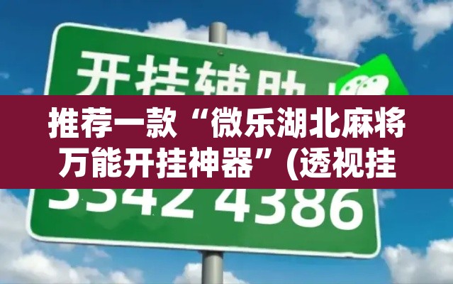 辅助神器“微乐山东麻将万能开挂器	”(透视挂)辅助透视教程
