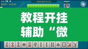 教程开挂辅助“微乐海南麻将小程序必赢神器	”(透视挂)辅助透视教程