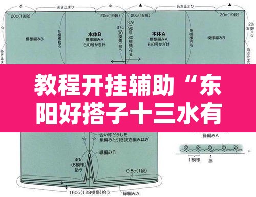 教程开挂辅助“东阳好搭子十三水有挂吗”(透视挂)辅助透视教程