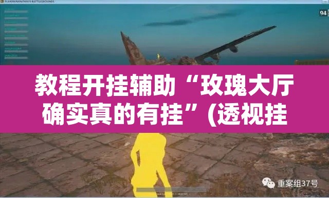 教程开挂辅助“玫瑰大厅确实真的有挂”(透视挂)辅助透视教程