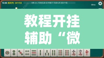 教程开挂辅助“微乐湖南麻将怎么开免费的挂”(透视挂)辅助透视教程