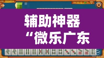 辅助神器“微乐广东麻将有挂吗”(透视挂)辅助透视教程