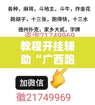 教程开挂辅助“广西跑胡子透视挂	”(透视挂)辅助透视教程