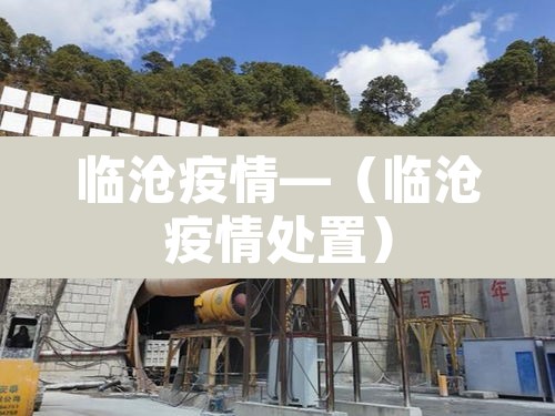临沧疫情—(临沧疫情处置) 临沧疫情—(临沧疫情处置)