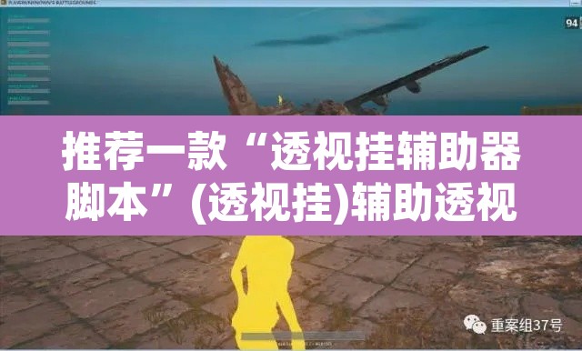 推荐一款“透视挂辅助器脚本”(透视挂)辅助透视教程