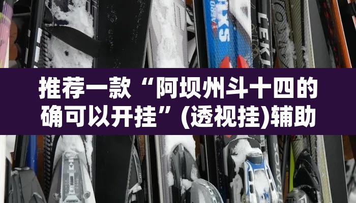 推荐一款“阿坝州斗十四的确可以开挂”(透视挂)辅助透视教程