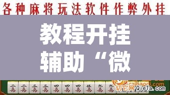 教程开挂辅助“微乐四川麻将免费挂下载	”(透视挂)辅助透视教程