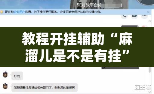 教程开挂辅助“麻溜儿是不是有挂”(透视挂)辅助透视教程