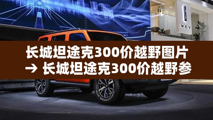 长城坦途克300价越野图片 → 长城坦途克300价越野参数 长城坦途克300价越野图片 → 长城坦途克300价越野参数
