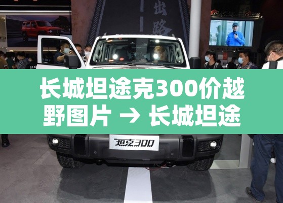 长城坦途克300价越野图片 → 长城坦途克300价越野参数 长城坦途克300价越野图片 → 长城坦途克300价越野参数