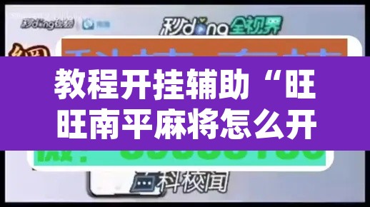 教程开挂辅助“旺旺南平麻将怎么开挂”(透视挂)辅助透视教程