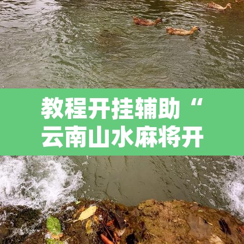 教程开挂辅助“云南山水麻将开挂多少钱	”(透视挂)辅助透视教程