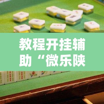 教程开挂辅助“微乐陕西麻将开挂教程”(透视挂)辅助透视教程
