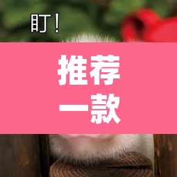 推荐一款“胖猪竞技如何装挂”(透视挂)辅助透视教程