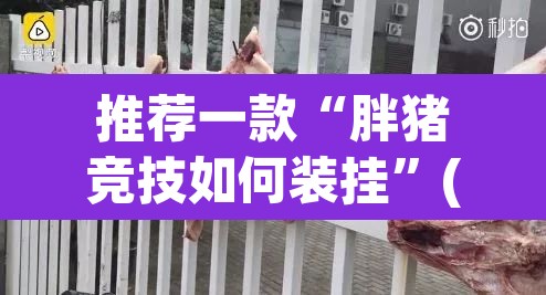 推荐一款“胖猪竞技如何装挂”(透视挂)辅助透视教程
