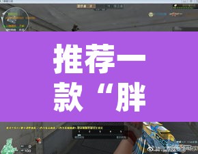 推荐一款“胖猪竞技如何装挂”(透视挂)辅助透视教程