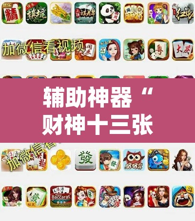 辅助神器“财神十三张黑科技”(透视挂)辅助透视教程