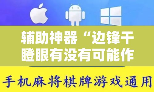 辅助神器“边锋干瞪眼有没有可能作弊”(透视挂)辅助透视教程