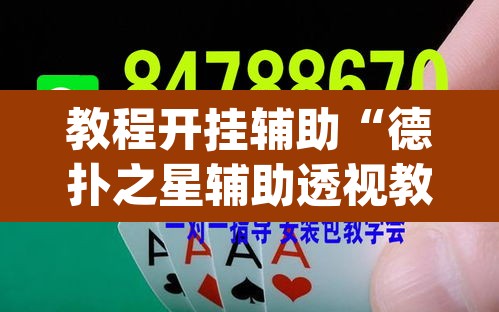 教程开挂辅助“德扑之星辅助透视教程	”(透视挂)辅助透视教程
