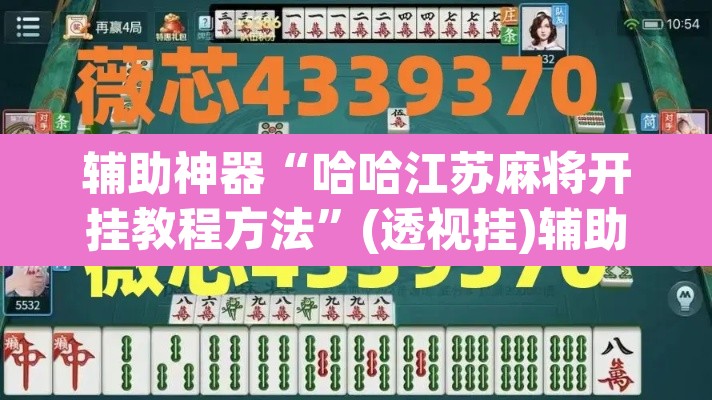 辅助神器“哈哈江苏麻将开挂教程方法”(透视挂)辅助透视教程