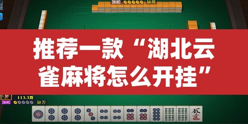 推荐一款“湖北云雀麻将怎么开挂”(透视挂)辅助透视教程