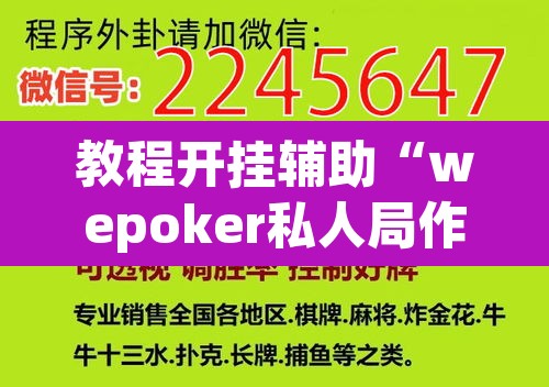 教程开挂辅助“wepoker私人局作弊透视)”(透视挂)辅助透视教程