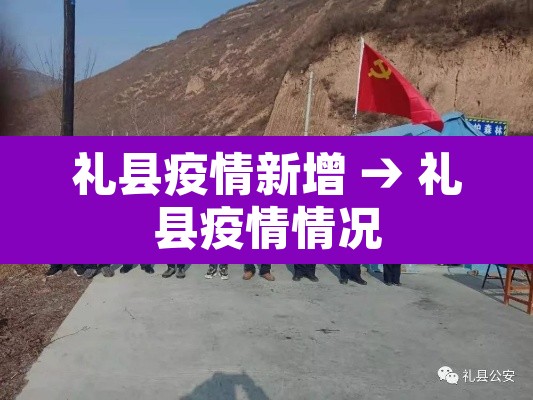 礼县疫情新增 → 礼县疫情情况
