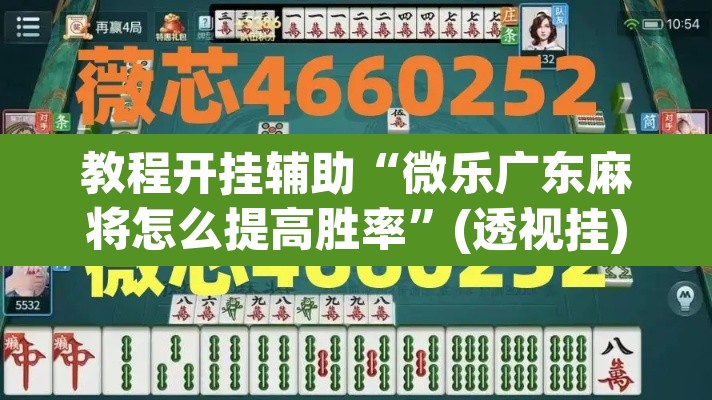 教程开挂辅助“微乐广东麻将怎么提高胜率”(透视挂)辅助透视教程