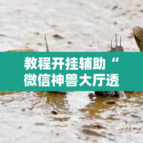 教程开挂辅助“微信神兽大厅透视安装”(透视挂)辅助透视教程