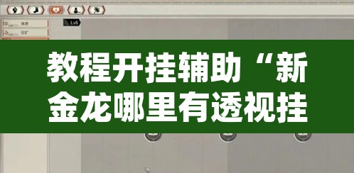 教程开挂辅助“新金龙哪里有透视挂”(透视挂)辅助透视教程