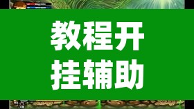 教程开挂辅助“新金龙哪里有透视挂”(透视挂)辅助透视教程
