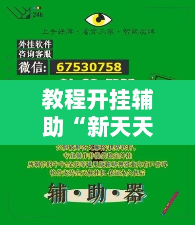 教程开挂辅助“新天天游戏可以开挂吗	”(透视挂)辅助透视教程