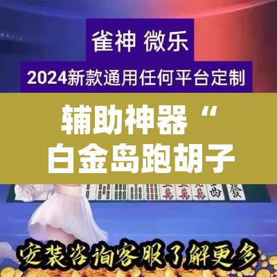 辅助神器“白金岛跑胡子当真有辅助挂吗”(透视挂)辅助透视教程