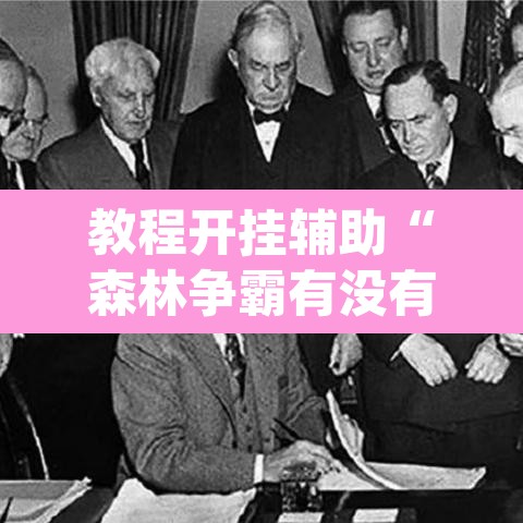 教程开挂辅助“森林争霸有没有挂”(透视挂)辅助透视教程