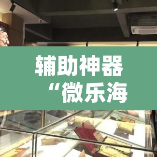 辅助神器“微乐海南麻将开挂神器”(透视挂)辅助透视教程