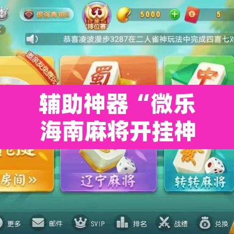 辅助神器“微乐海南麻将开挂神器”(透视挂)辅助透视教程