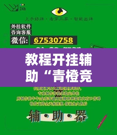教程开挂辅助“青橙竞技其实是可以开挂”(透视挂)辅助透视教程