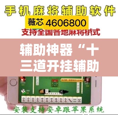 辅助神器“十三道开挂辅助软件”(透视挂)辅助透视教程