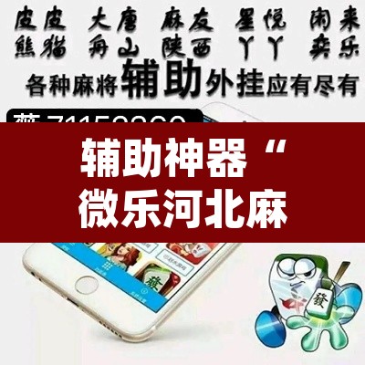 辅助神器“微乐河北麻将万能开挂器免费通用版”(透视挂)辅助透视教程