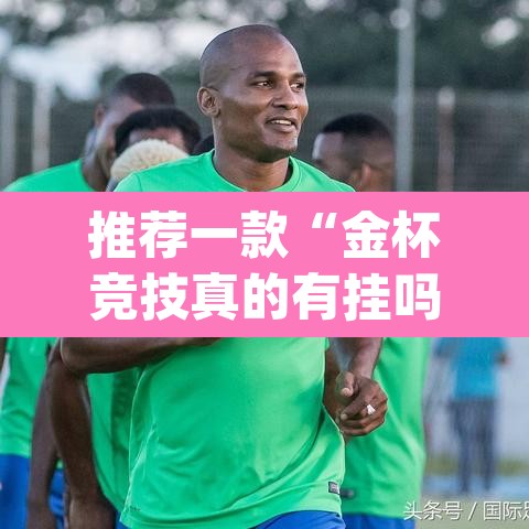 推荐一款“金杯竞技真的有挂吗	”(透视挂)辅助透视教程