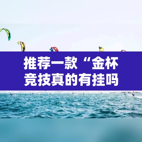 推荐一款“金杯竞技真的有挂吗”(透视挂)辅助透视教程