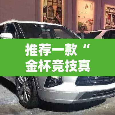 推荐一款“金杯竞技真的有挂吗”(透视挂)辅助透视教程