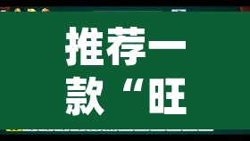 推荐一款“旺旺南平麻将怎么开挂	”(透视挂)辅助透视教程
