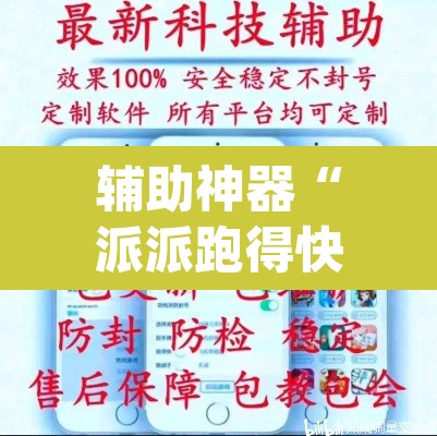 辅助神器“派派跑得快要怎么开挂”(透视挂)辅助透视教程