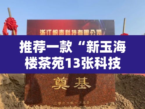 推荐一款“新玉海楼茶苑13张科技辅助	”(透视挂)辅助透视教程