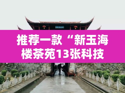 推荐一款“新玉海楼茶苑13张科技辅助	”(透视挂)辅助透视教程