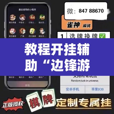 教程开挂辅助“边锋游戏辅助器	”(透视挂)辅助透视教程
